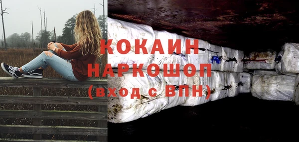 ПСИЛОЦИБИНОВЫЕ ГРИБЫ Алексин