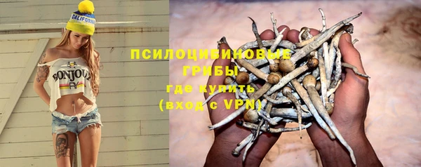 ПСИЛОЦИБИНОВЫЕ ГРИБЫ Алексин