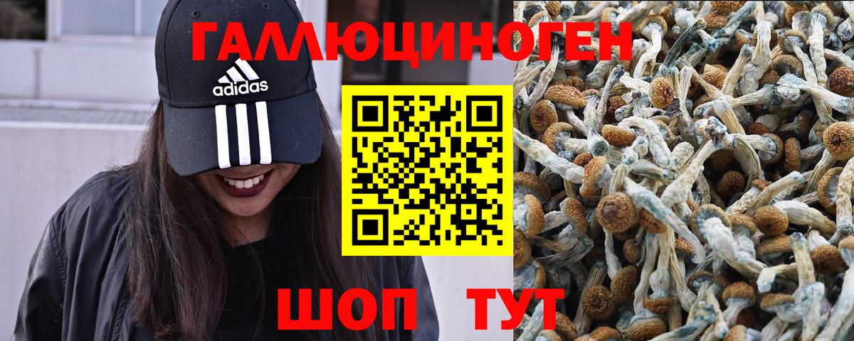 Псилоцибиновые грибы мицелий  Вход с VPN  Югорск  Галлюциногенные грибы Magic Shrooms 