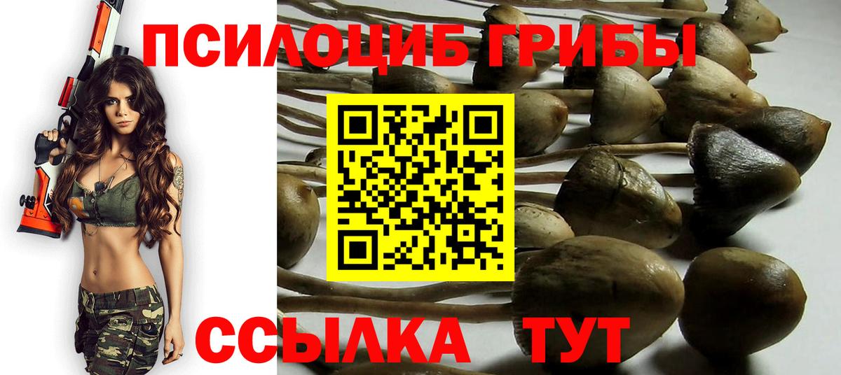 Галлюциногенные грибы MAGIC MUSHROOMS  Галлюциногенные грибы MAGIC MUSHROOMS  Вход с VPN  Югорск 