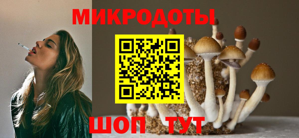 Псилоцибиновые грибы Psilocybine cubensis Югорск